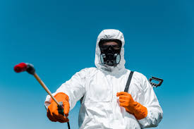 Best Emergency Pest Control  in Val Verde Park, TX